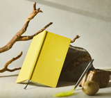 PREORDER: Hobonichi Techo 2027 Weeks Colors