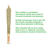 Catnibas® King Size Rollies