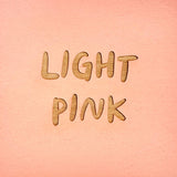 Someone in Kansas Loves You Magnet