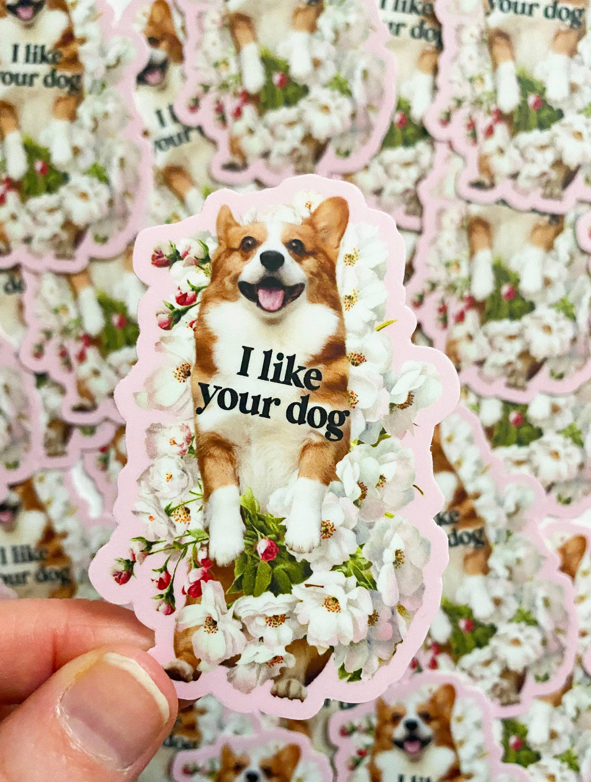 I Like Your Dog Cute Corgi Sticker