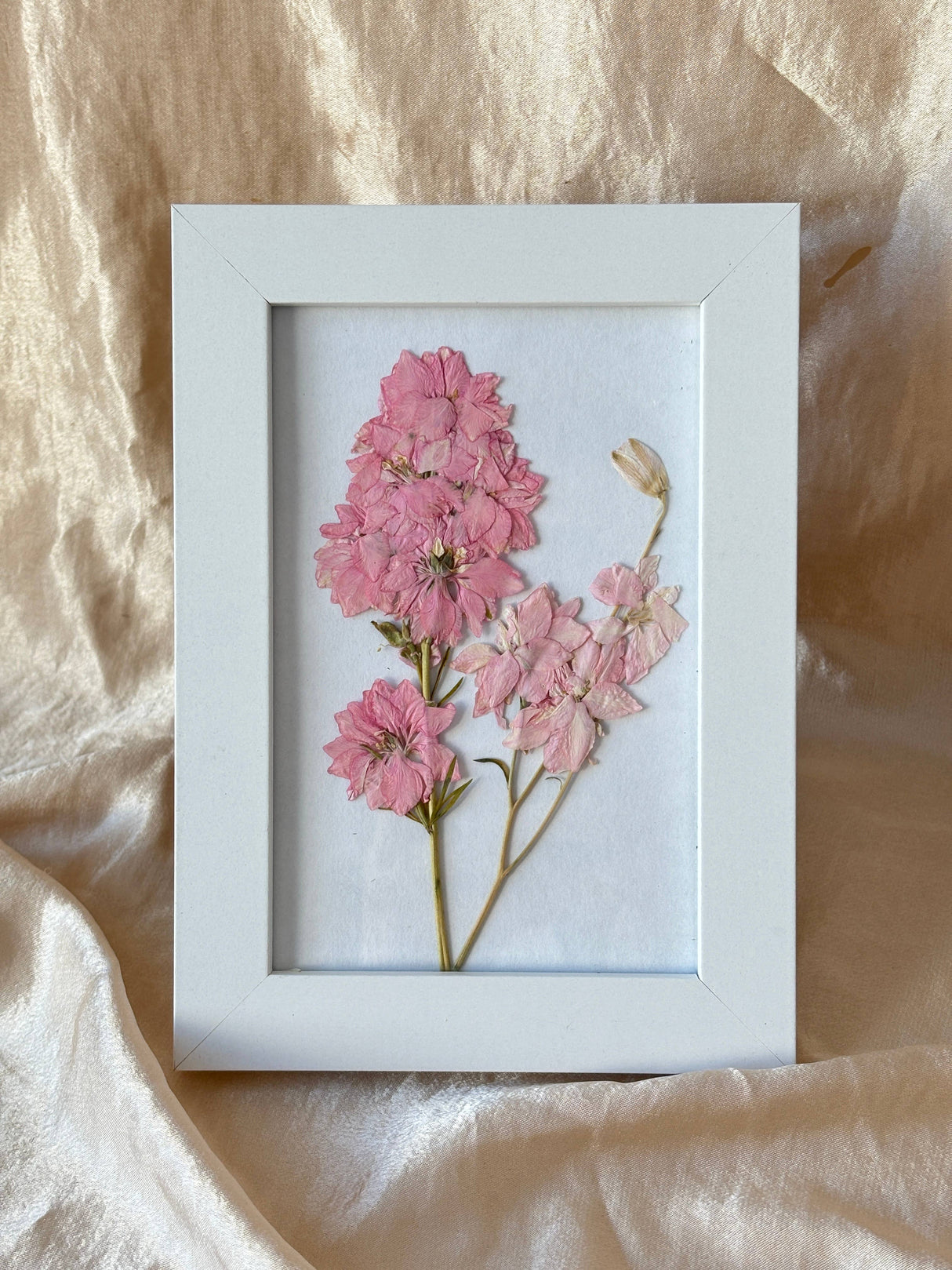 Pressed Larkspur Framed Print