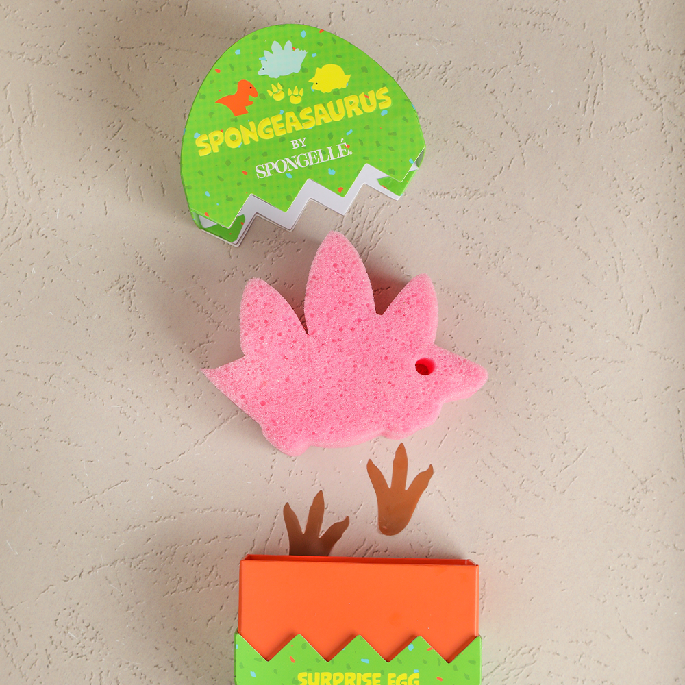 Stegosaurus Spongeasaurus