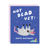 Not Dead Yet Possum Birthday Card