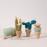 Desert Rose Needle Felting Kit