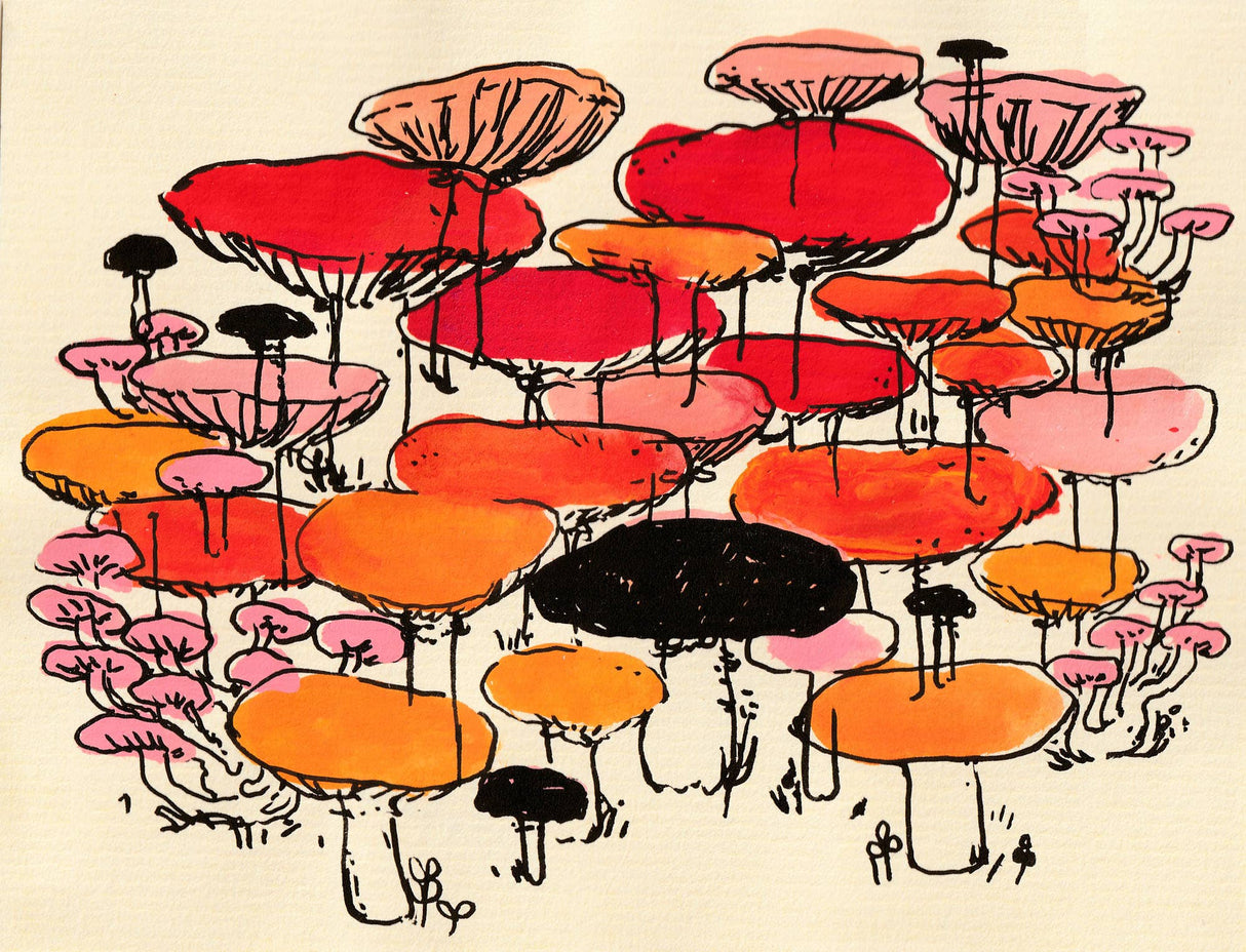 "Mushrooms in Red, Orange, and Pink" Print