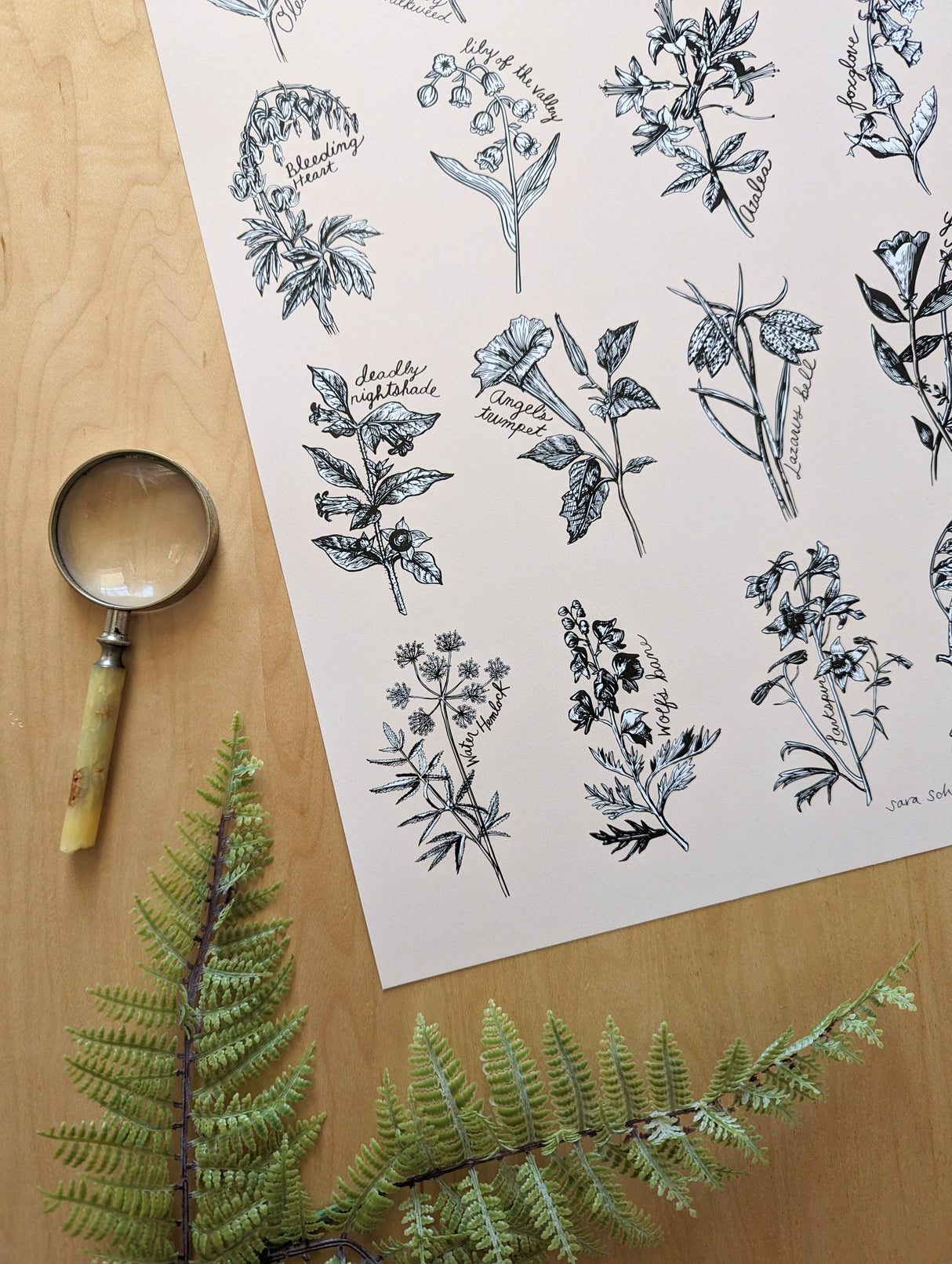 Fatal Florals Art Print