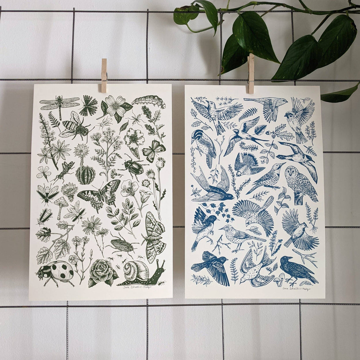 Blue Birds Art Print