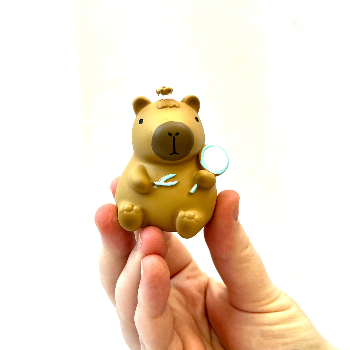 Capybara Blind Box