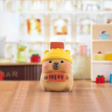 Capybara Island Blind Box