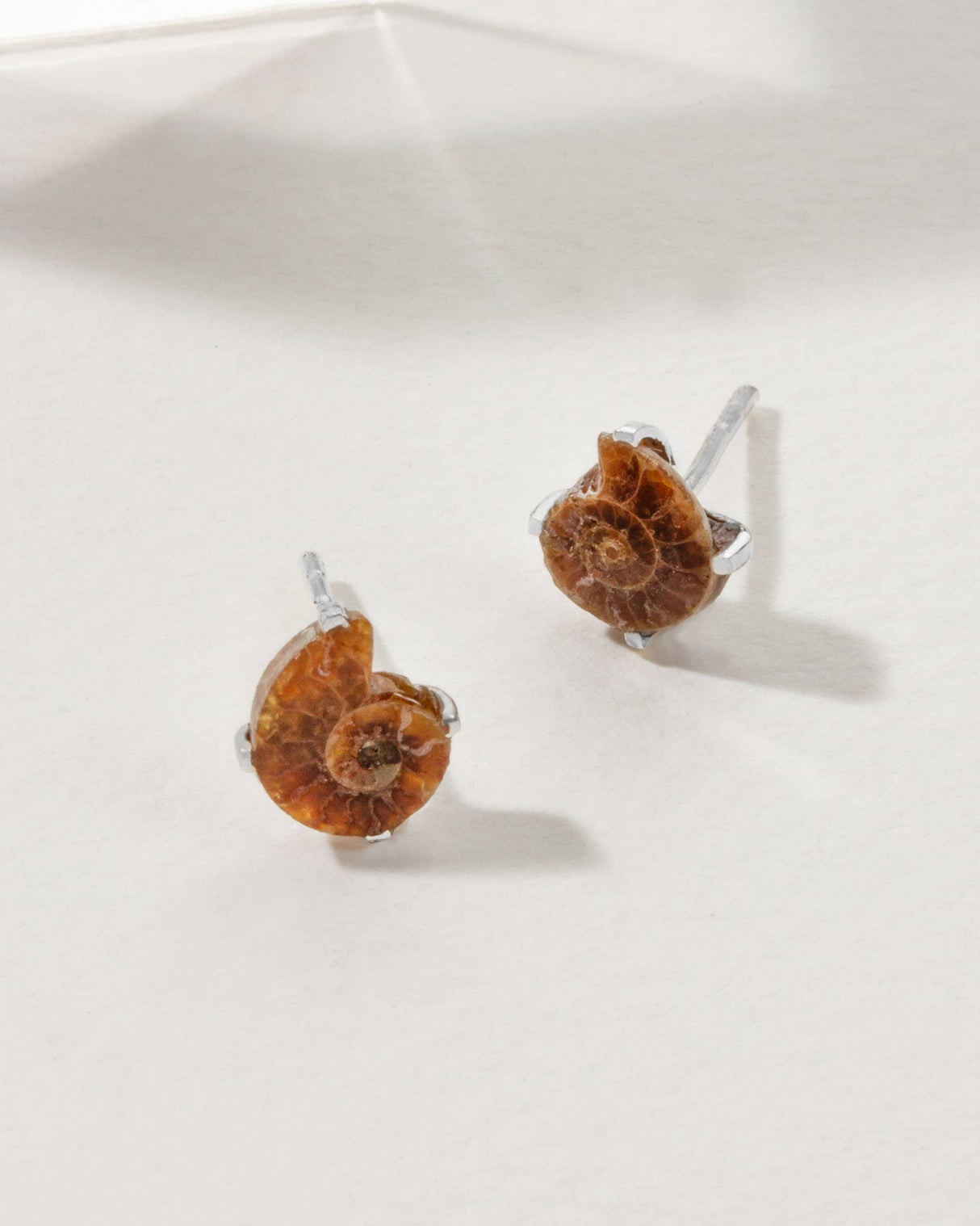 Ammonite Sterling Silver Post Earrings