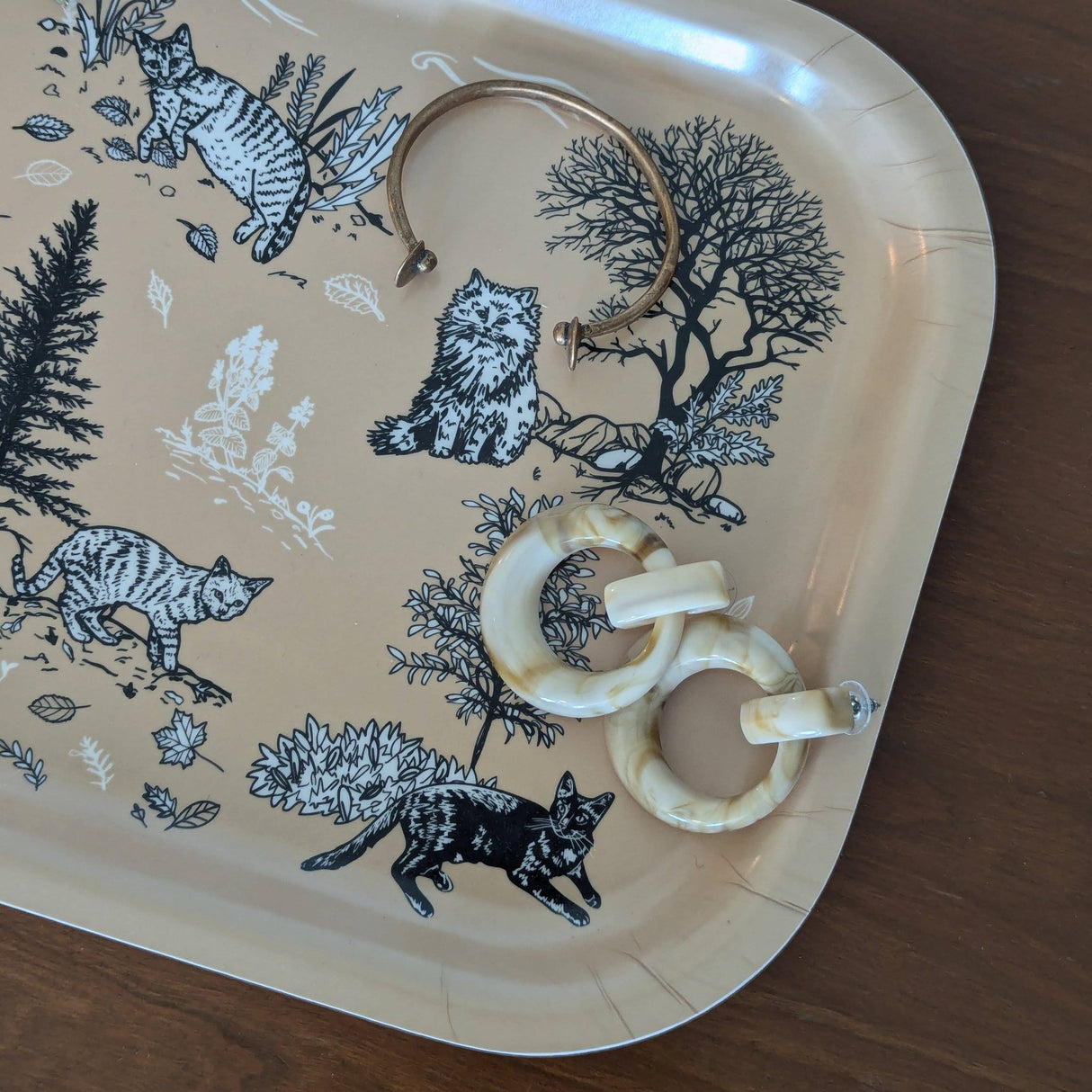 Tray | outside cats