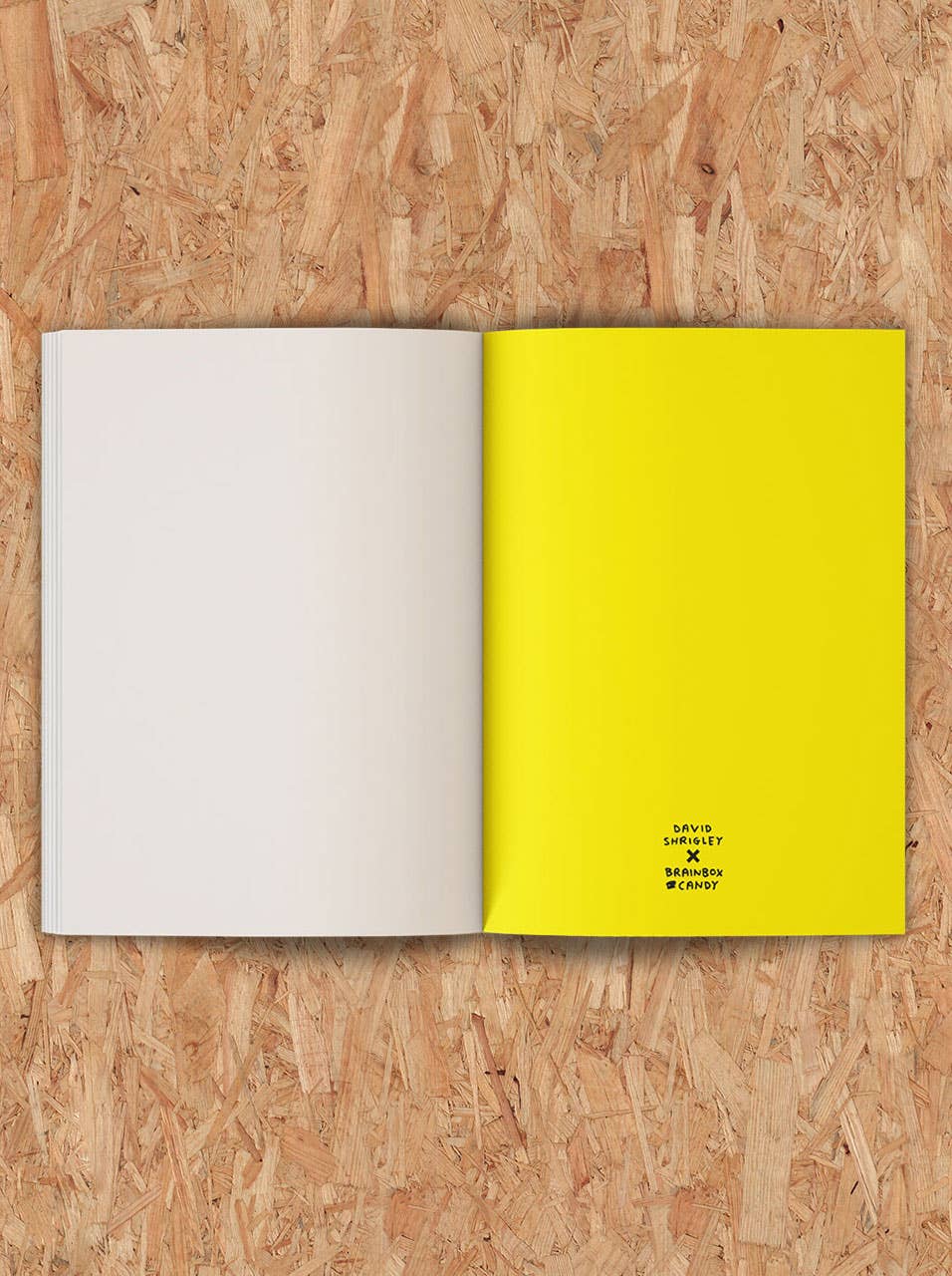 Be An Artist Sketchbook by David Shrigley