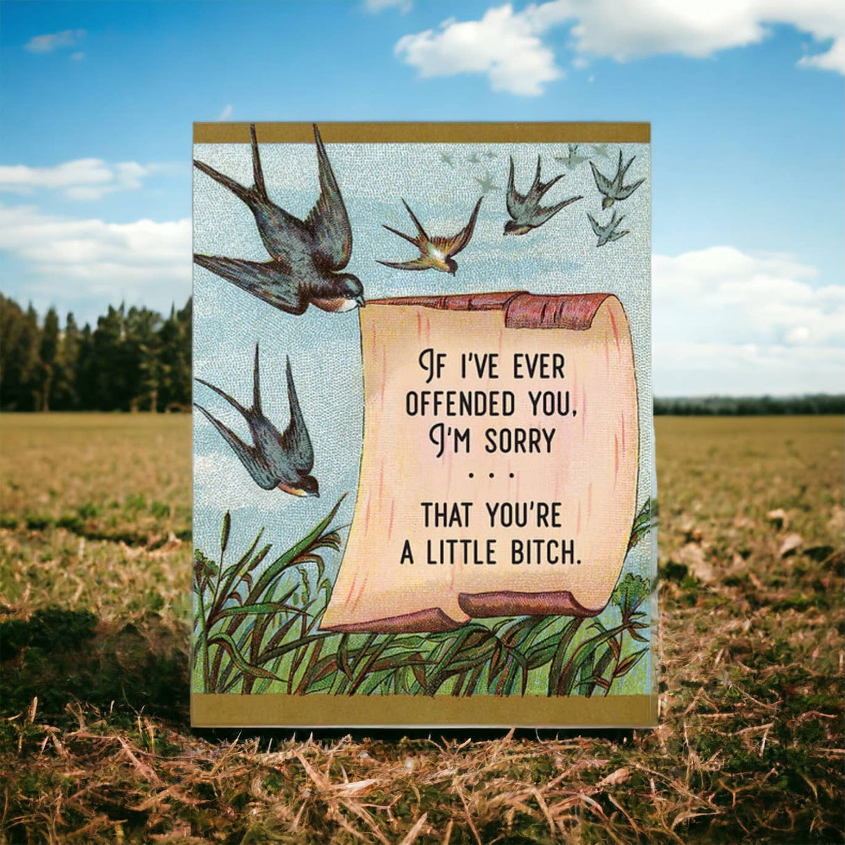 I'm Sorry If You're Offended (You're a Little Bitch) Card