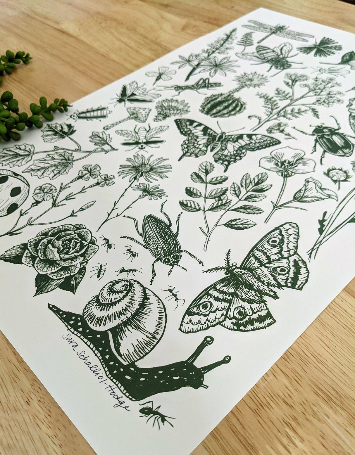 Bugs & Blooms Art Print