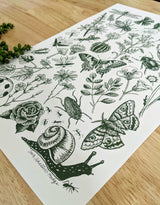 Bugs & Blooms Art Print