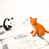 Adopt A Pet — Mini Mystery Animal