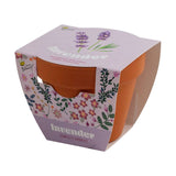 Lavender Terra Cotta Grow Kit