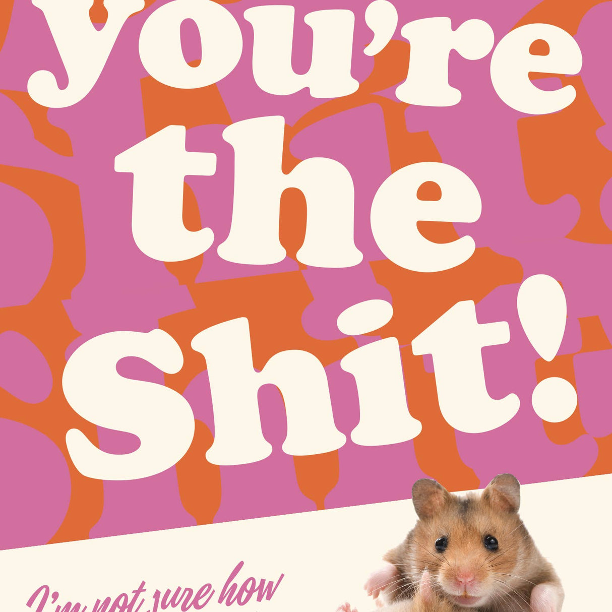 You’re the Shit Greeting Card