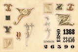 Cabinet of Curiosities