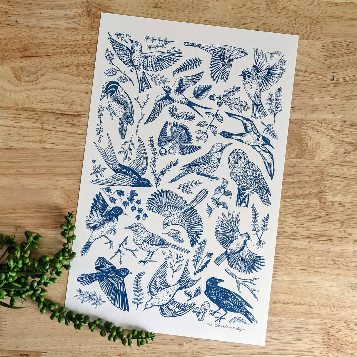 Blue Birds Art Print