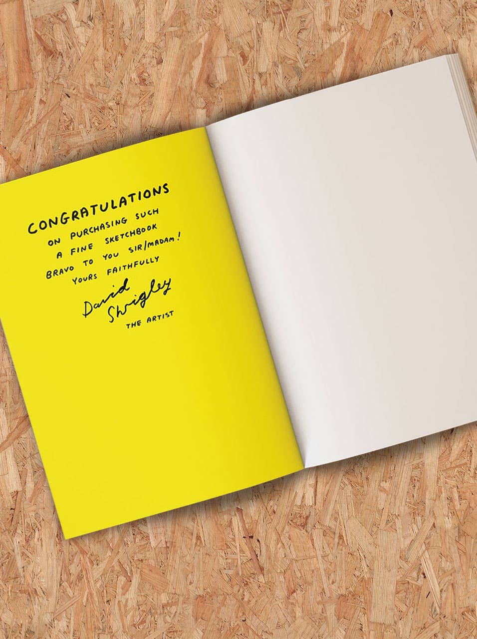 Be An Artist Sketchbook by David Shrigley