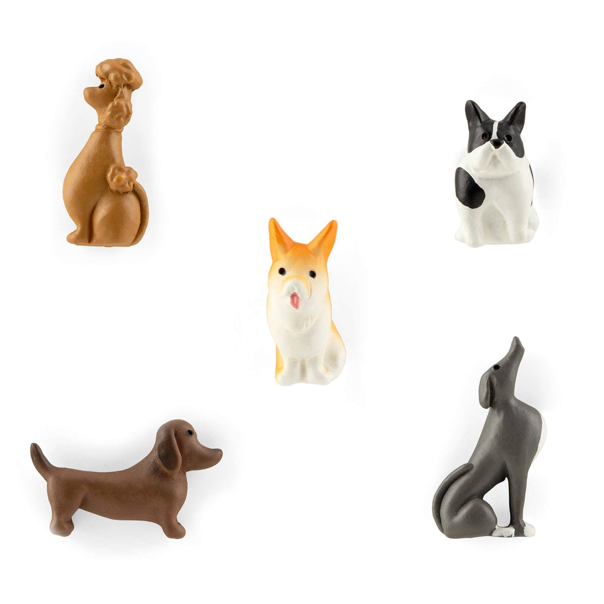 Colorful dog magnets