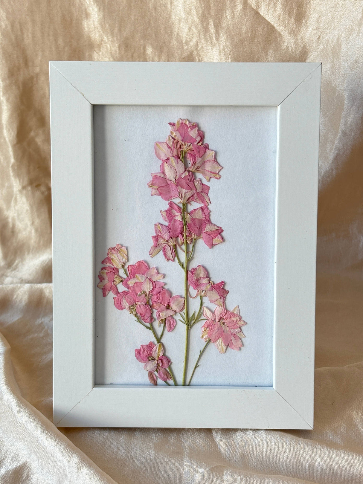 Pressed Larkspur Framed Print