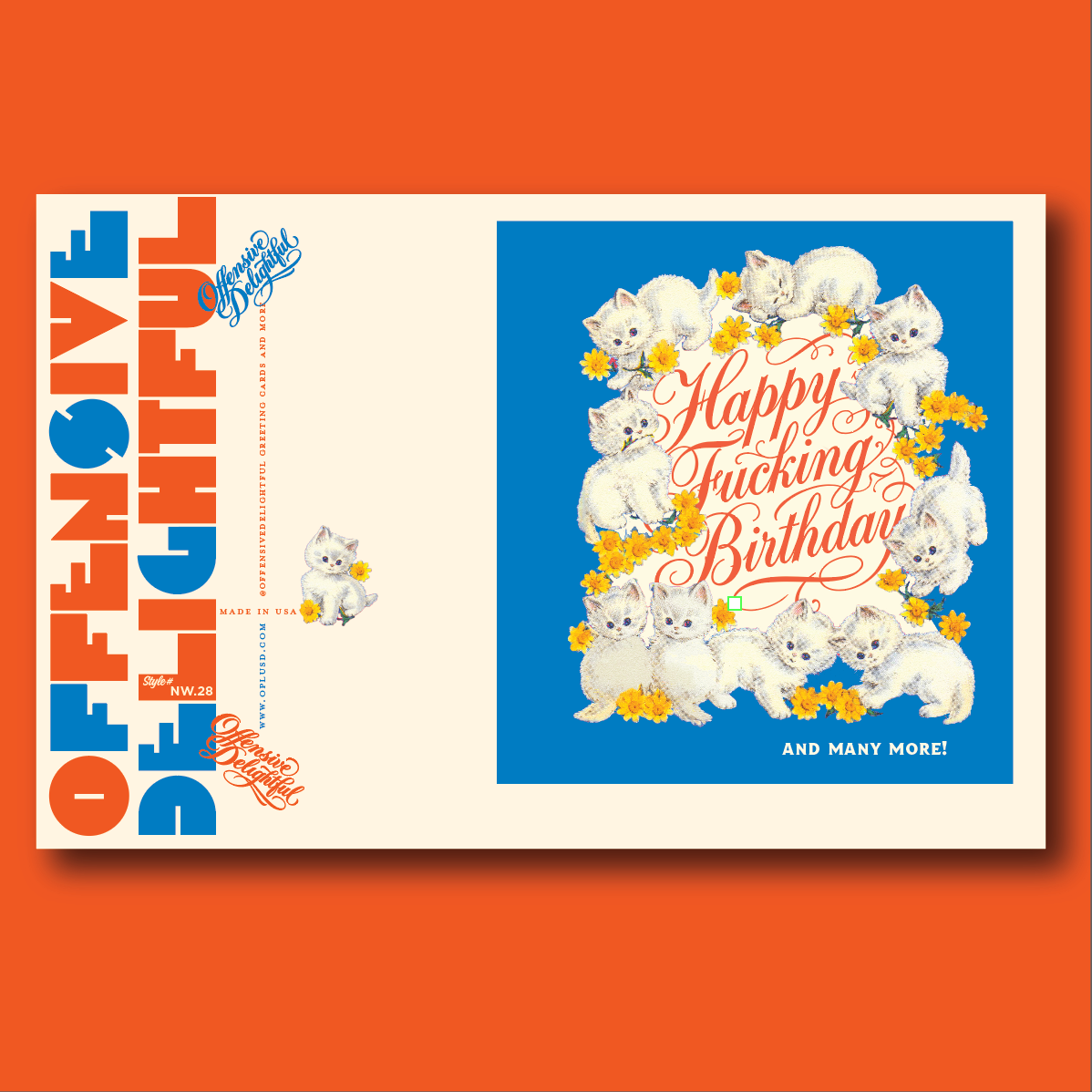 Kittens Birthday Card