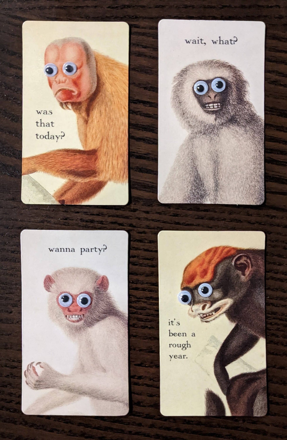 Silly Monkey Refrigerator Magnets! with 6mm Googly Eyes