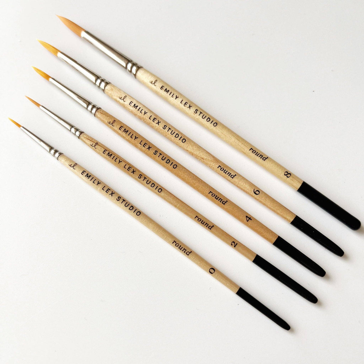 Watercolor Paint Brush by Emily Lex