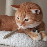 Catnibas® King Size Rollies