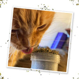 Kalico Kush - Valerian Root and Catnip Blend