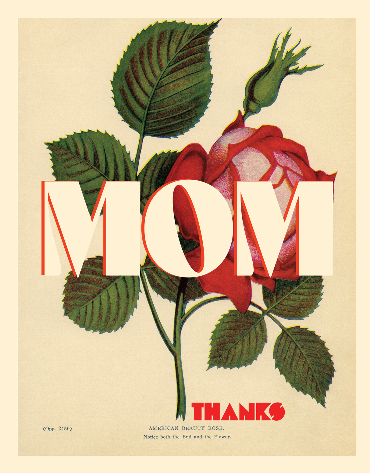 Mom Rose Thanks Mother's Day Card