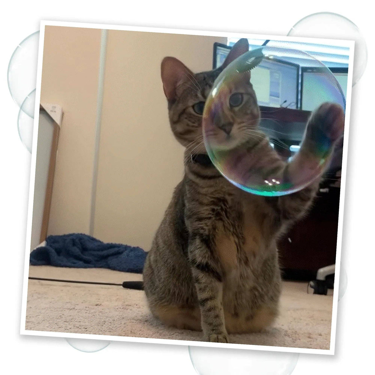 Catnip & Honeysuckle Bubbles