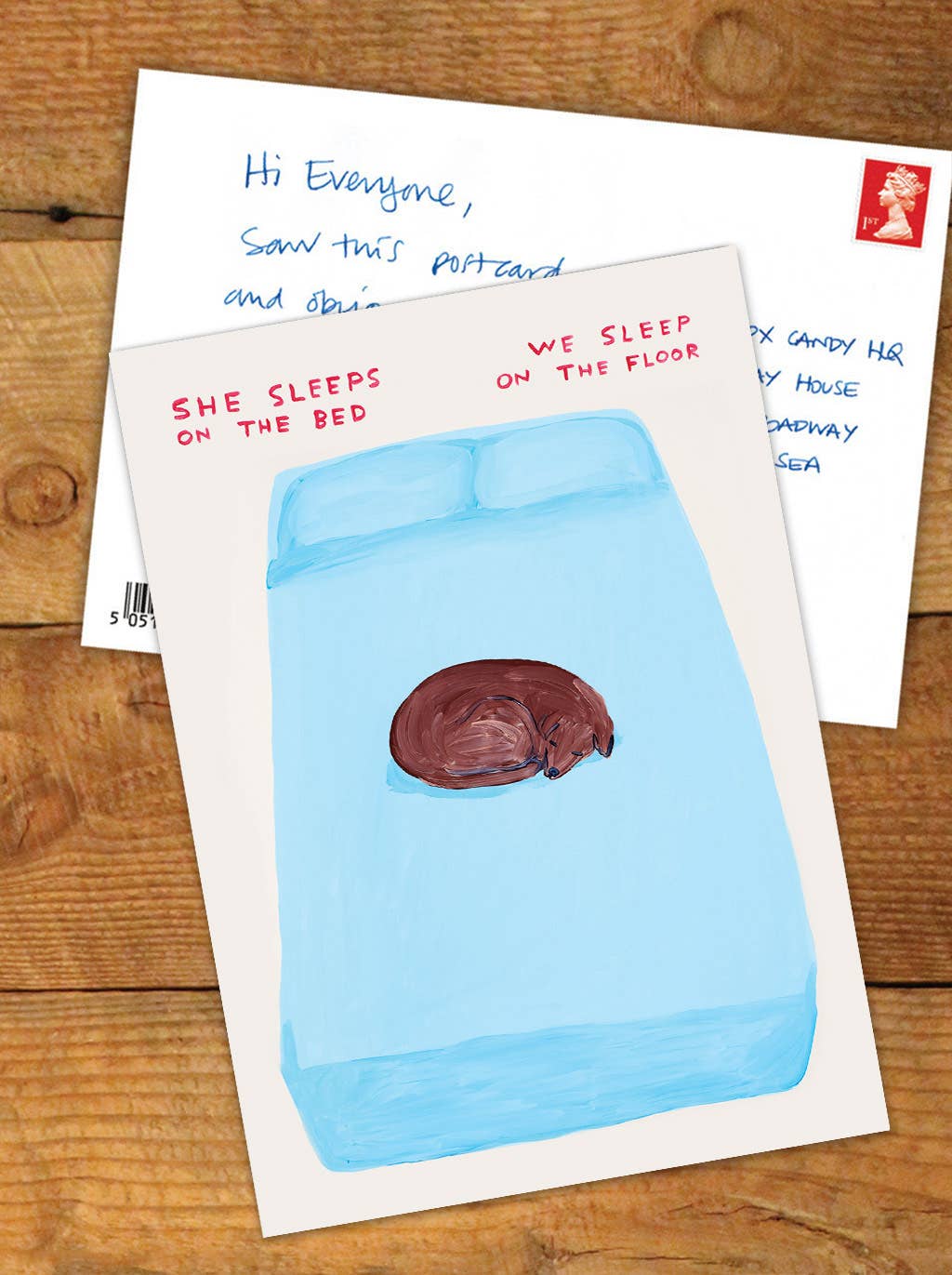 She Sleeps On The Bed A6 Art Postcard