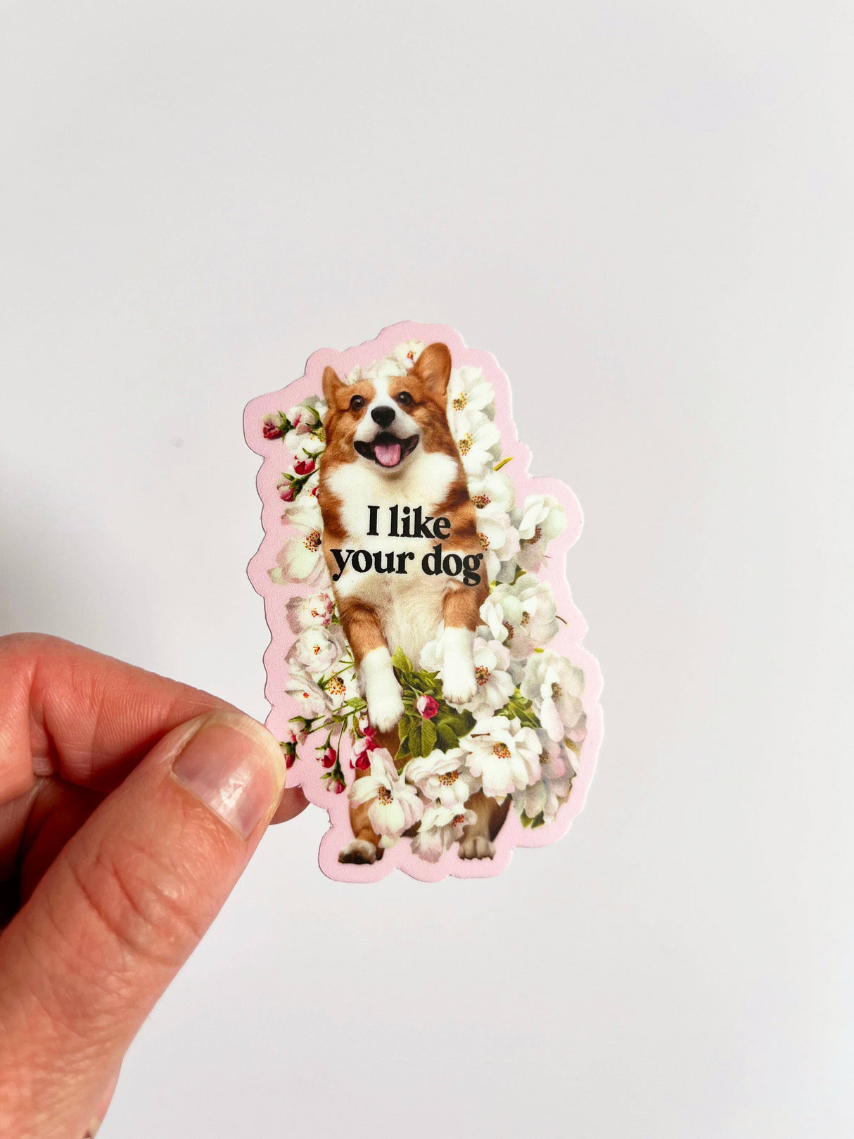 I Like Your Dog Cute Corgi Sticker